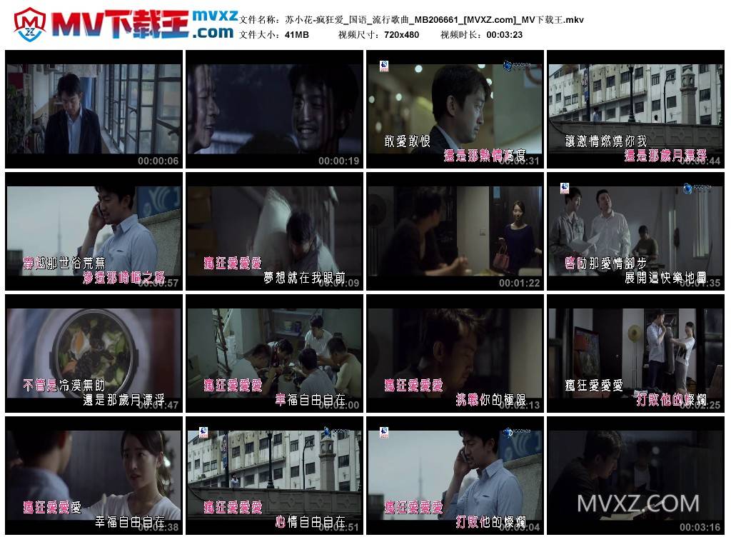 苏小花-疯狂爱_国语_流行歌曲_MB206661